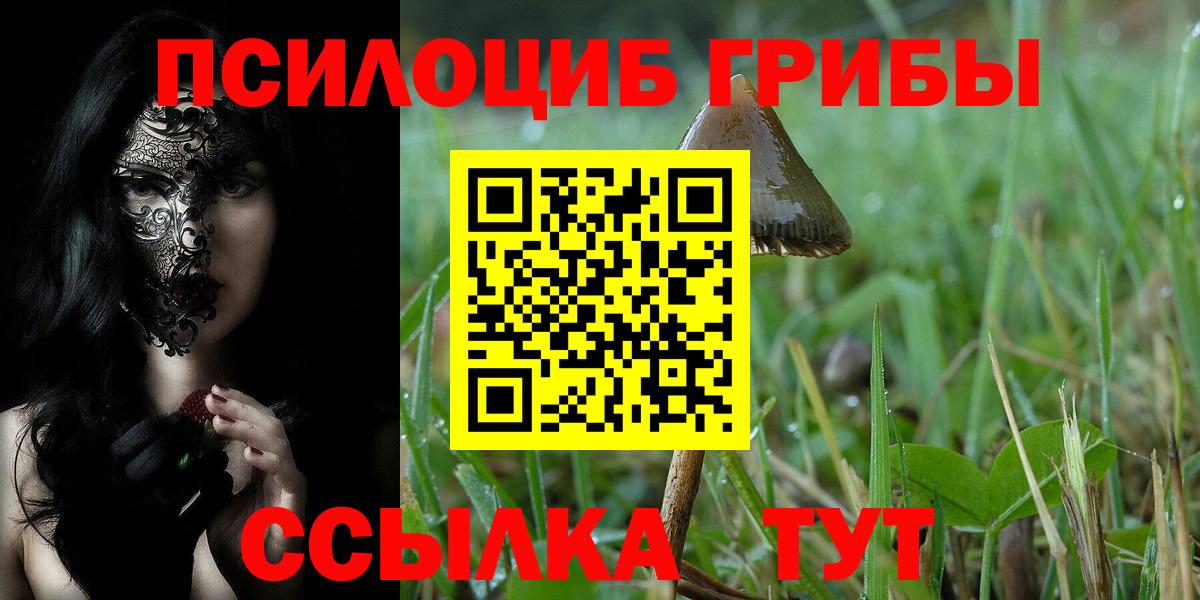 Псилоцибиновые грибы GOLDEN TEACHER Тулун