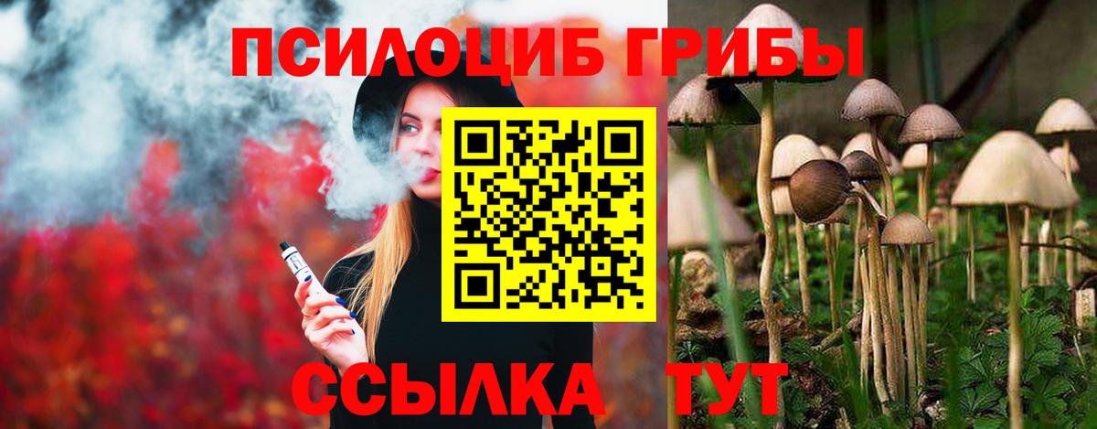 Галлюциногенные грибы MAGIC MUSHROOMS  Вход с VPN  Тулун  Галлюциногенные грибы MAGIC MUSHROOMS 